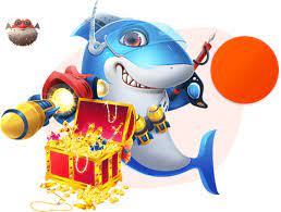 星空·体育综合V1.7.13安卓版 0